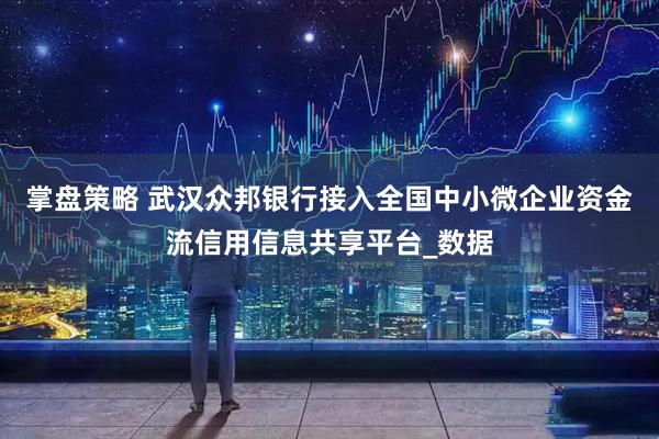 掌盘策略 武汉众邦银行接入全国中小微企业资金流信用信息共享平台_数据