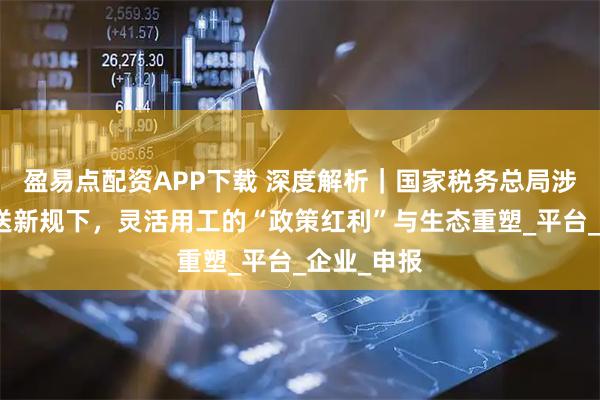 盈易点配资APP下载 深度解析｜国家税务总局涉税信息报送新规下，灵活用工的“政策红利”与生态重塑_平台_企业_申报