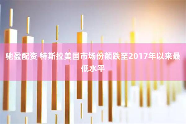 驰盈配资 特斯拉美国市场份额跌至2017年以来最低水平